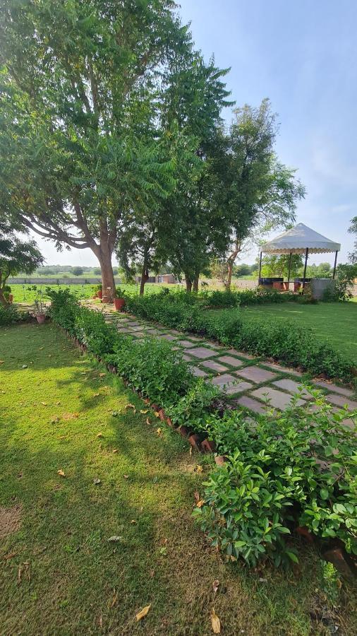 The Rustic Villa, A Stay With Luxuries Amenities And Exotic Nature 斋浦尔 外观 照片