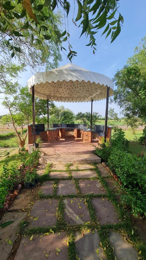 The Rustic Villa, A Stay With Luxuries Amenities And Exotic Nature 斋浦尔 外观 照片