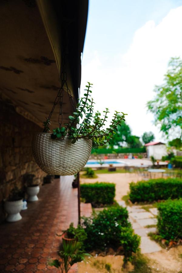 The Rustic Villa, A Stay With Luxuries Amenities And Exotic Nature 斋浦尔 外观 照片